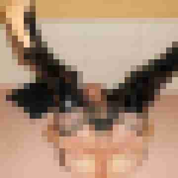 seemann0706
