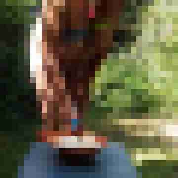 Letsy4u2c