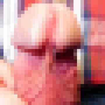 sliplede