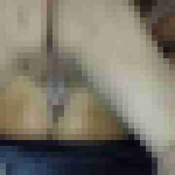 ProfCreampie