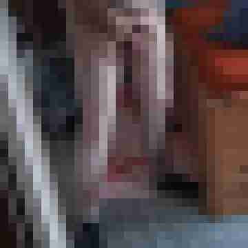 Robertd67
