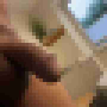 mantajrg