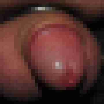 FKKPenis57bi