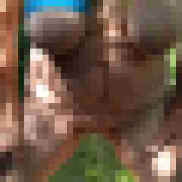 Letsy4u2c