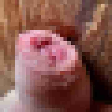 sweetmirc19