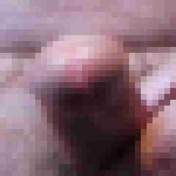 sliplede
