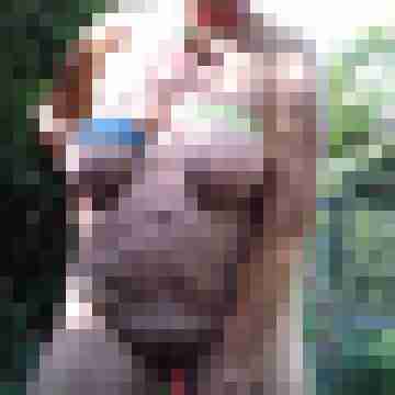 Letsy4u2c