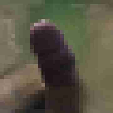 Bean24