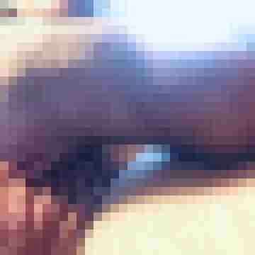 tom_schweizer