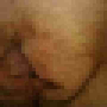 susi0207