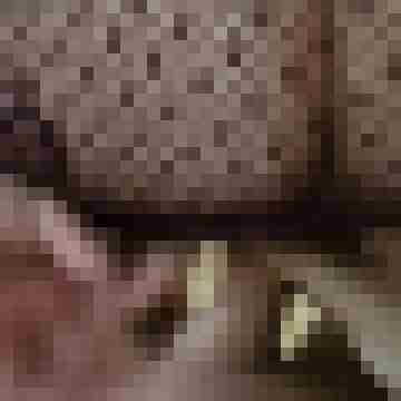 Tom_Bereit