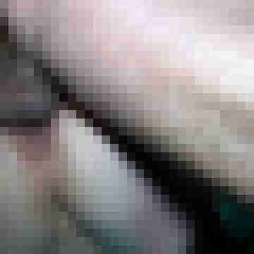 picturefreak