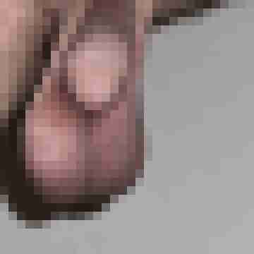 Frankooh