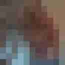 schlono
