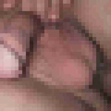 Hormonferkel