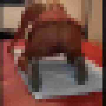 Pigtom