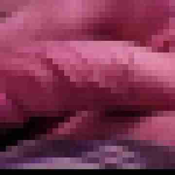BaSti-81