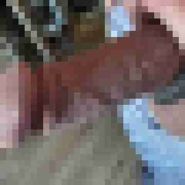 jogl2206
