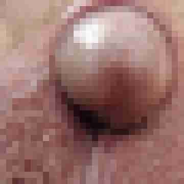duiz