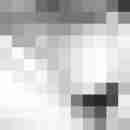 junge_herrin