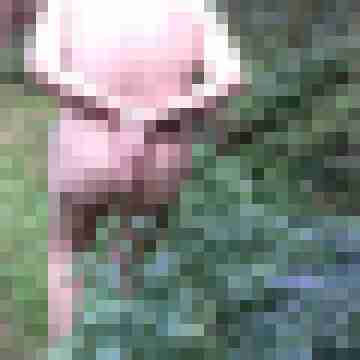 Letsy4u2c
