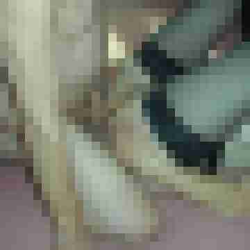 sabiene-70