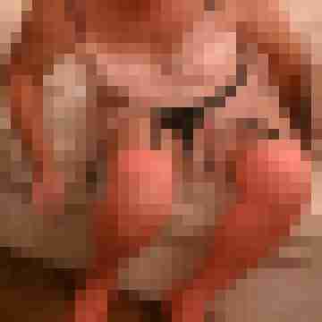 Haumphrey