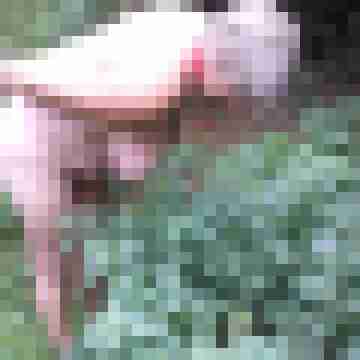 Letsy4u2c