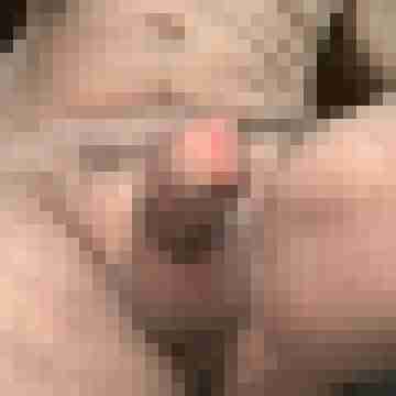 perlenfreund