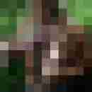 2Schuetze