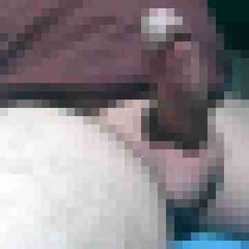 zappizapp1