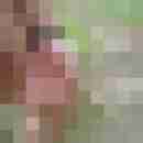 ruedi_wolf