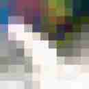 derschamlose
