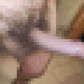 buschiMuschi_pralleEier