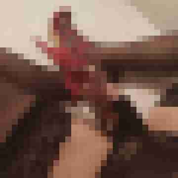 heelswixxer