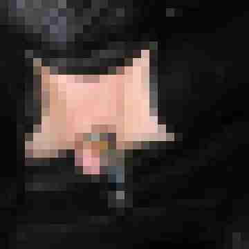 seemann0706