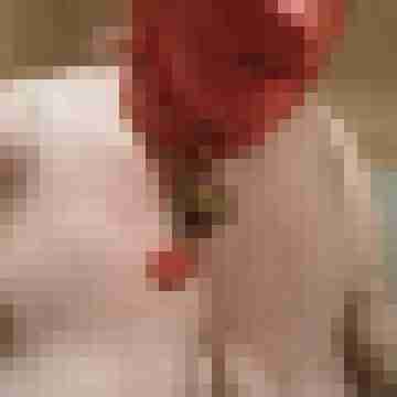Letsy4u2c