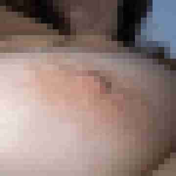 noeggi