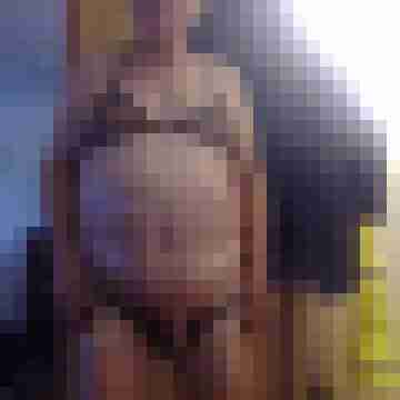 Wolfibus7