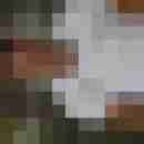 hallodri20