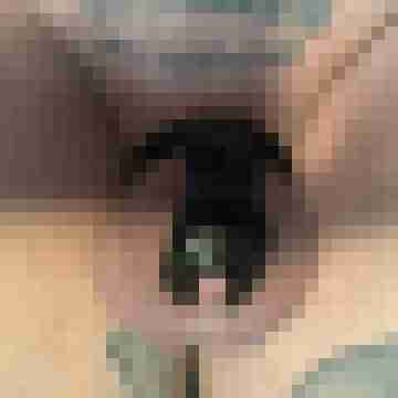 eS01vHU