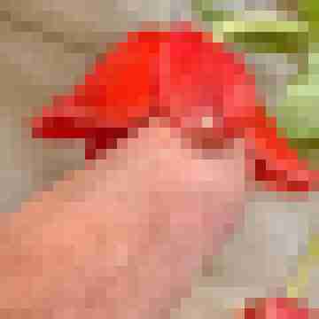 sweetmirc19