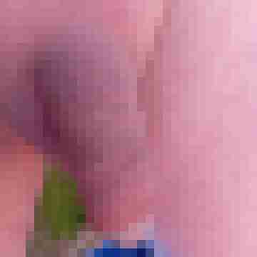 spermaschuss