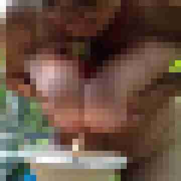 Letsy4u2c