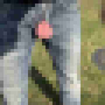 Gepierct21