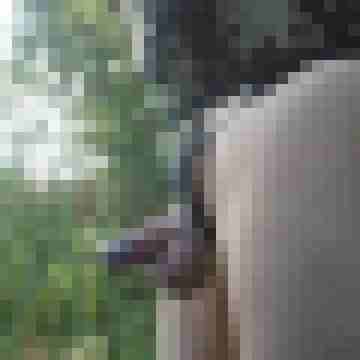 Maunty_01