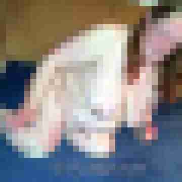 sklavin35