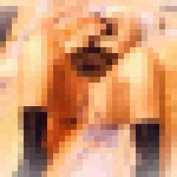 skorstier6368