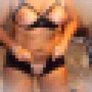 skorstier6368