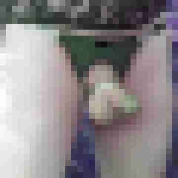 Maunty_01